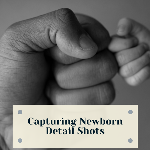 newborn detail shots - featured