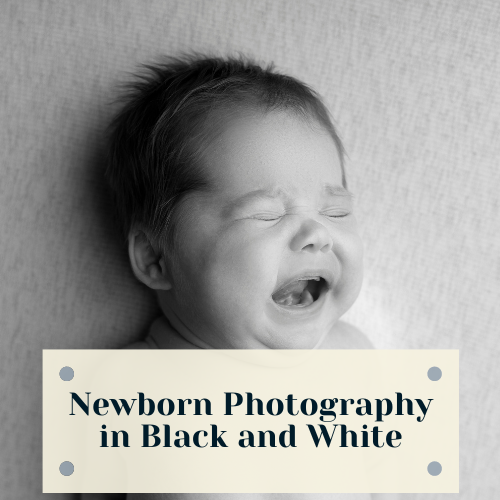 Newborn photography in black and white