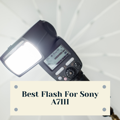 Best Flash For Sony A7III Top Picks For Stunning Photos